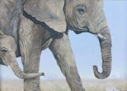 David Geer  Artwork